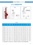 HY-XJT型自清洗過濾器